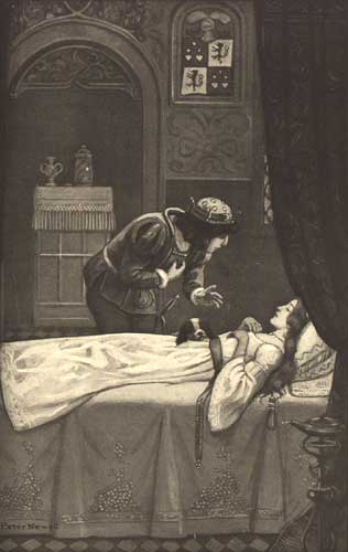 Sleeping Beauty by Peter Newell, 1907